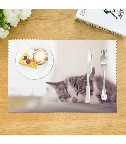Amazon｜猫の恩返し ルナルド・ムーンの壁画 ランチョンマット ジブリ