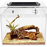 Reptile Growth ポリカーボネート 小型爬虫類 ケージ 透明 爬虫類ケージ 飼育容器 小動物用 カメ亀 タンク 両生類用飼育ケース 飼育ボックス 20x20x20cm, カメ、クモ、カエル、ゲッコ、カマキリ、ヘビ、サソリ、庵クラブ