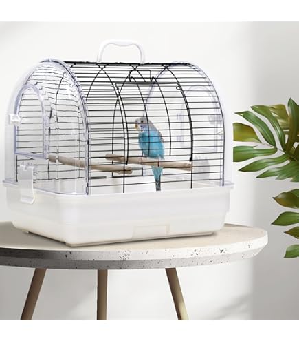 Amazon | 三晃商会 SANKO B52 インコひな用 特製飼育セット