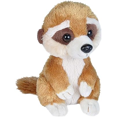 webkinz meerkat