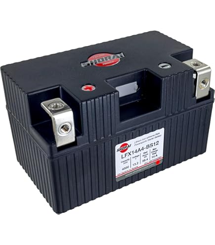 Amazon | SHORAI LFX バッテリー LFX19A4-BS12 | バイク