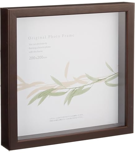 Amazon | APJ フレーム アートボックスフレーム 25角 250mm ホワイト