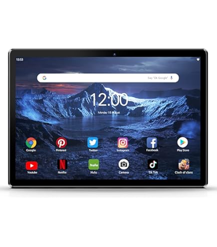 Huawei HW-MRX-W09 MatePad Pro WiFi Tablet, 10.8
