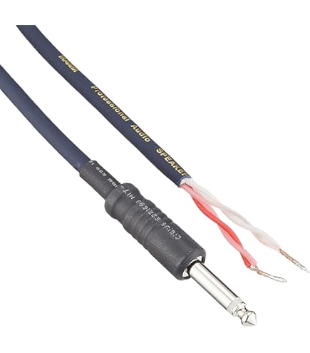 お値下げ歓迎　Phil Jones Bass SS-4スピーカーケーブル Amazon | PJB（PHIL JONES BASS） (フィルジョーンズベース