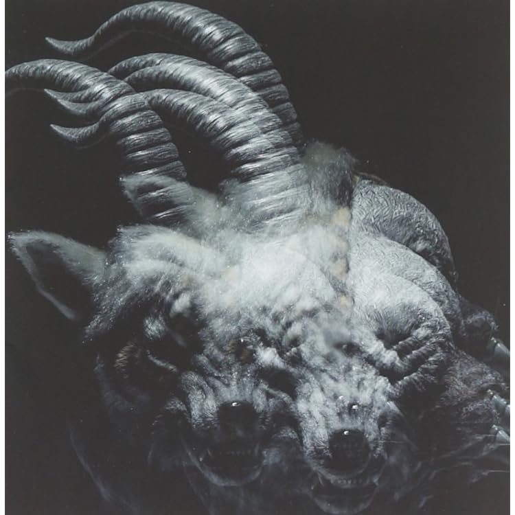 Amazon.co.jp: NINTH(完全生産限定盤)(Blu-ray Disc付): ミュージック