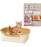 ELMO グロ—アップ 2kg 子猫用 ドライフード imgrc0116730195.jpg