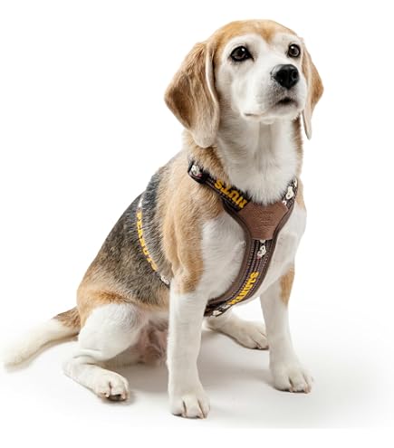 Amazon | ペットパラダイス 犬 ハーネス 犬具 スヌーピー SS