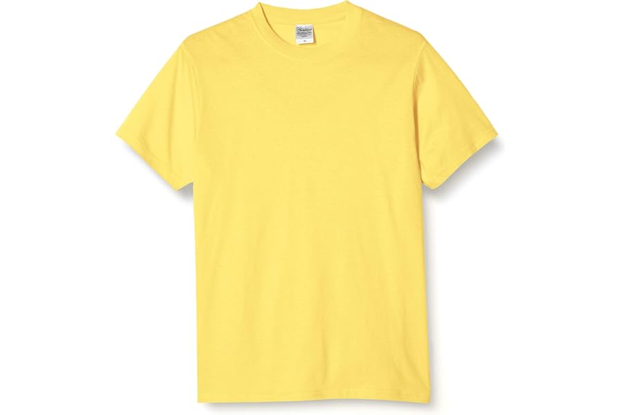 Printstar(プリントスター) 半袖4.0オンス Tシャツ 00083-BBT