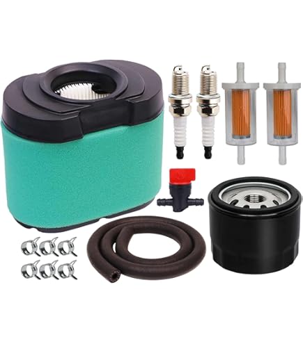 Kit Revisione Carburatore Motore BRIGGS & STRATTON 7-9 Cv Orizzonta - Foto 3