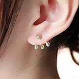 NoBrand Target World ドラゴンの爪ピアス 龍の爪タイプ 2個セット両耳用 耳飾り メンズ レディース ゴールド Gold プレゼント・贈り物にも