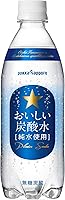 サッポロ おいしい炭酸水 500ml×24本