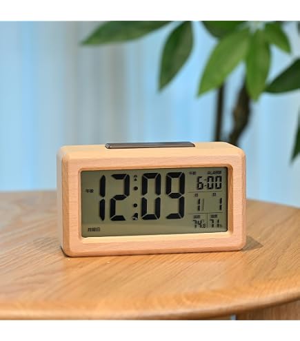 Amazon.co.jp: Small World アミューズ電波時計 パルタージュグレース