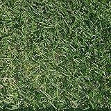 高麗芝(張り芝用)　つくば産　２平米(0.6坪分)