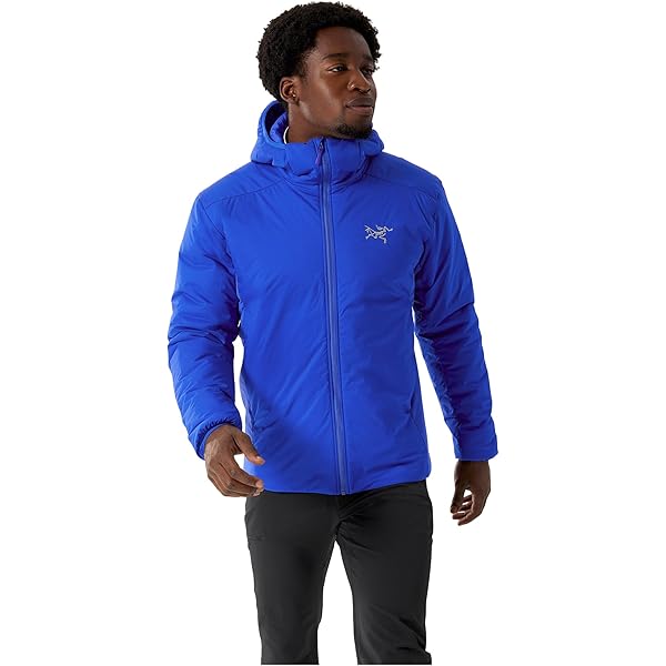 アークテリクス アトムLTフーディ ARCTERYX e0236b_cdfeceacd7a547a9a8112bf