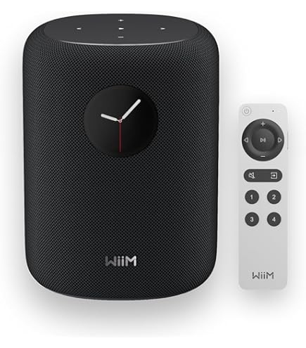 Amazon.co.jp: 【直輸入品】WiiM Sub Pro – 8インチ 250W ワイヤレス