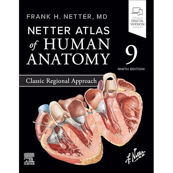 Amazon | Gray's Anatomy for Students | Drake PhD, Richard L., Vogl