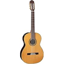 Amazon.co.jp: Takamine PTU340N N エレガットギター 300