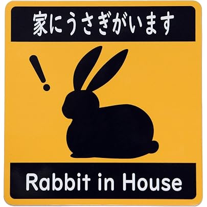 Amazon.co.jp: [SunAge] キーホルダー 家にうさぎがいます Rabbit in