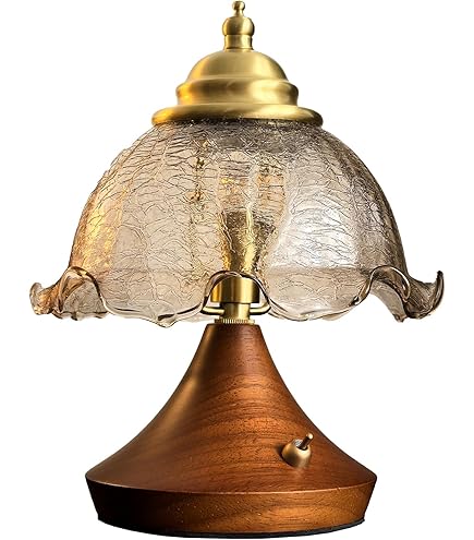 Amazon.co.jp : 北斗の拳 ステンドグラス風アクリルスタンド