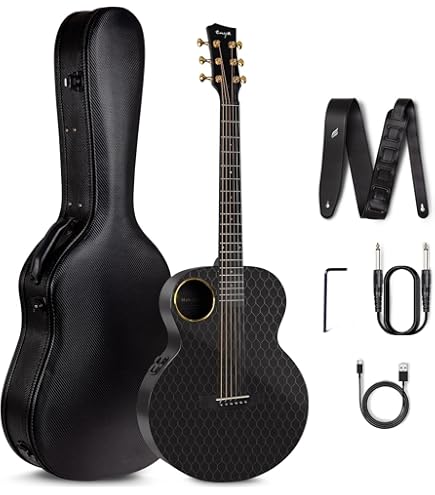 Amazon | ESP LTL6BLK LTD TL-6 Black 6弦 Acoustic Resonant
