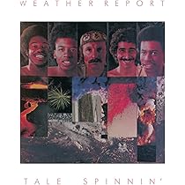 マイケル寂聴【レコード】Weather Report 8作品+おまけ マイケル寂聴様専用【レコード】Weather Report 8作品+おまけ