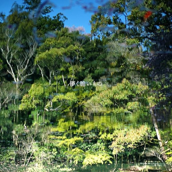 Amazon.co.jp: RYOTA FUJIMAKI Acoustic Recordings 2000-2010