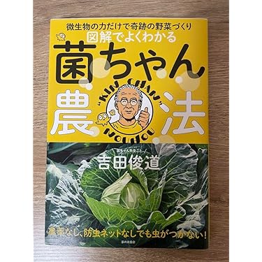 ハマセンダンの葉：　小葉２２００枚　　（アゲハ類のエサ） ハマセンダンの葉： 小葉2200枚 （アゲハ類のエサ） - メルカリ