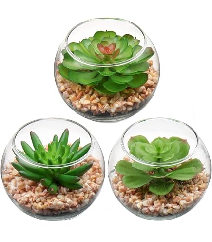 Amazon｜Mkono 人工多肉植物 透明ガラスポット入り 3個 ミニ鉢植え