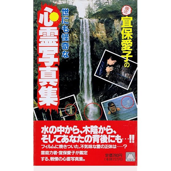 Amazon.co.jp: 戦慄!世界の心霊・恐怖画像 (晋遊舎ムック) : 本