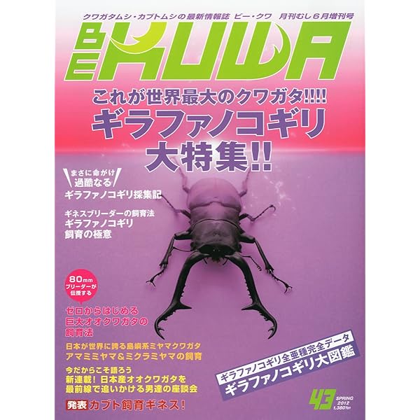 BEKUWA ビークワ　54〜84セット BEKUWA ビークワ 54〜84セット