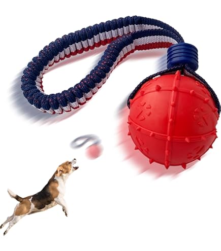 Amazon | GoFetch 犬用おもちゃ Qボール 12個入 | GoFetch | ボール 通販