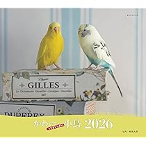 カレンダー2026 かわいんこ インコと小鳥のカレンダー（月めくり