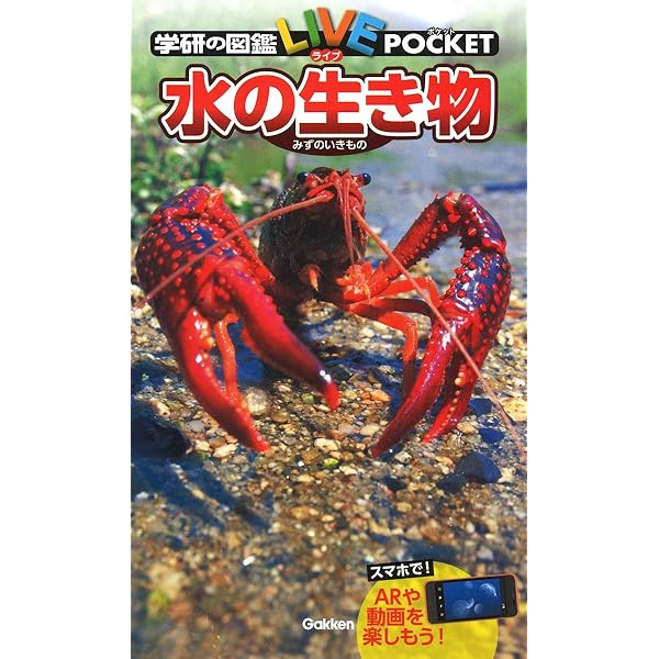 Amazon.co.jp: 絶滅危機動物 (学研の図鑑 LIVE ポケット 11) : 今泉