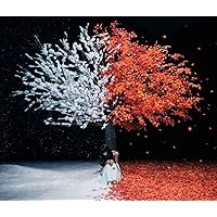 Amazon.co.jp: 茜さす/everlasting snow(通常盤): ミュージック