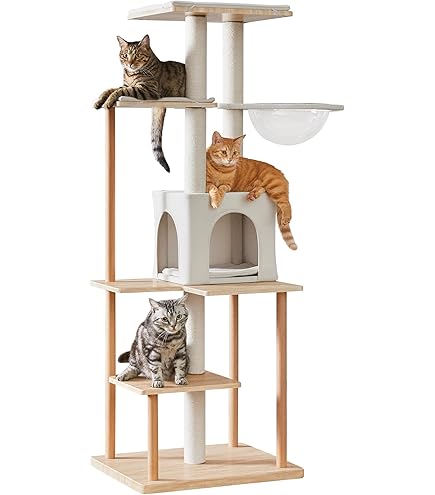 Amazon | sopoa®【 無垢の美、永く使える本物 】木製 北欧風 キャット