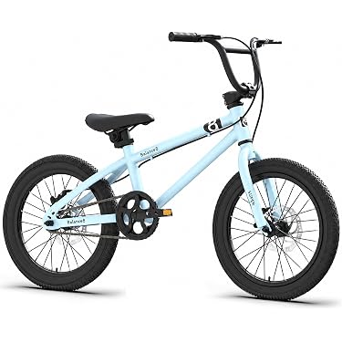 Amazon.co.jp 最新リリース: BMX・トライアルバイク の新着ランキング