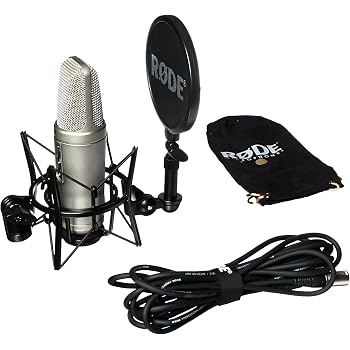Amazon | RODE NT2-A | コンデンサ | 楽器