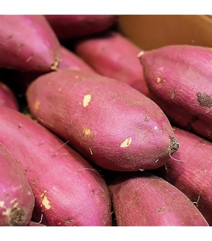 Amazon.co.jp: 【完熟成へのこだわり】最高級サツマイモ【究極の紅