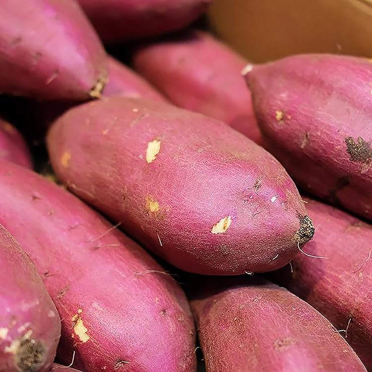 Amazon.co.jp: さつまいも 5kg 紅はるか 茨城県産 18～22本前後 M