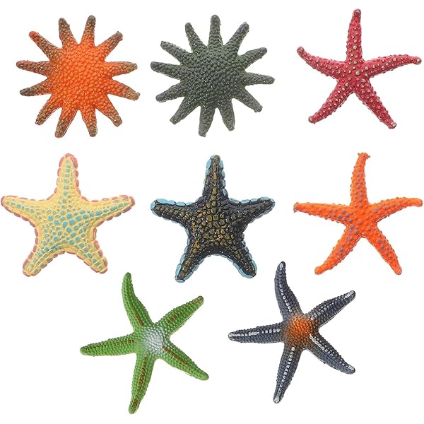 Amazon.co.jp: STOBOK 8個セット デスクトップ用リアルヒトデ