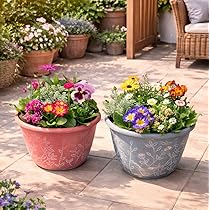 Amazon.co.jp: 花＊花Gluckはなはなぐりゅっけ 季節の寄せ植え リーフ