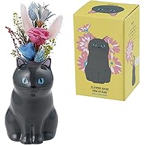 71q0G92tpSL._AC_UL210_SR210,