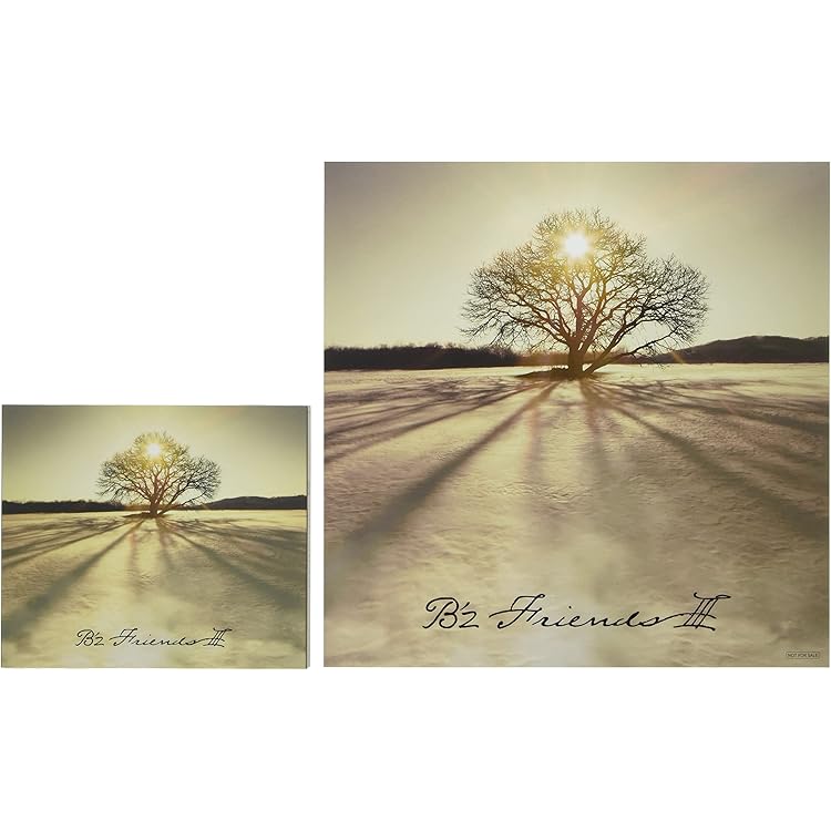 Amazon.co.jp: FRIENDS II - B'z: ミュージック