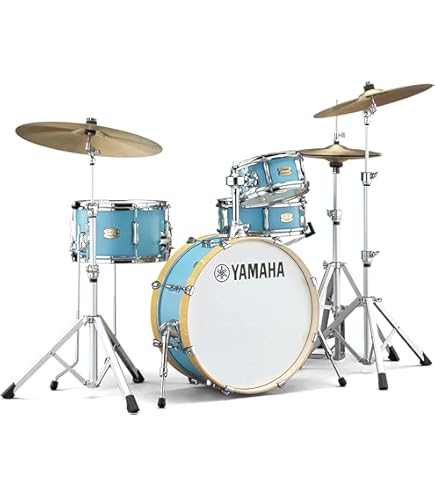 REMO パドルドラム 8インチ 10インチ 2個セット マレット付 打楽器 Amazon.co.jp: REMO パドルドラムセット 直径8インチ~10インチ
