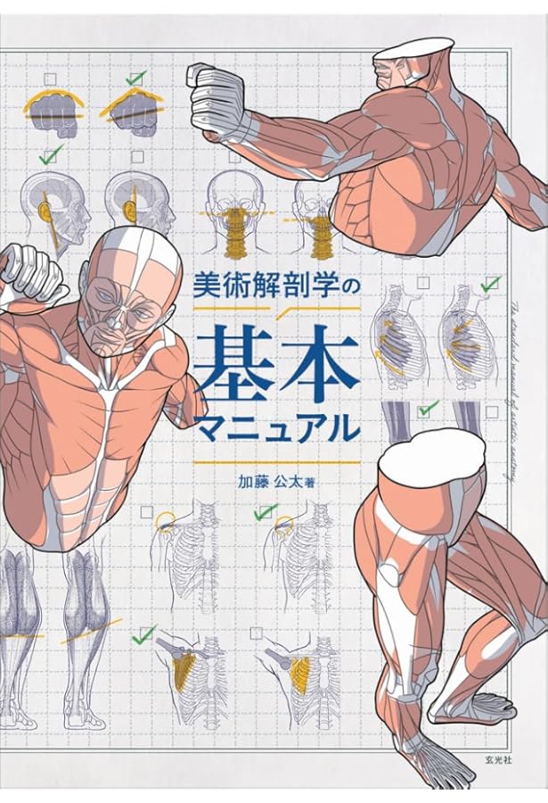 Amazon.co.jp: スケッチで学ぶ美術解剖学 : 加藤 公太, 加藤 公太