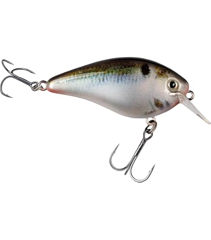 Amazon.co.jp: Strike King HC10XD-469 10XD, TN Shad 2.0 : スポーツ