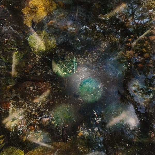 【中古】「非常に良い」［CD］Six Songs for Invisible Gardens(ボーナス・トラック収録 / 解説付 / 日本独自CD化) [ARTPL-149] Amazon | Six Songs for Invisible Gardens(ボーナス・トラック収録