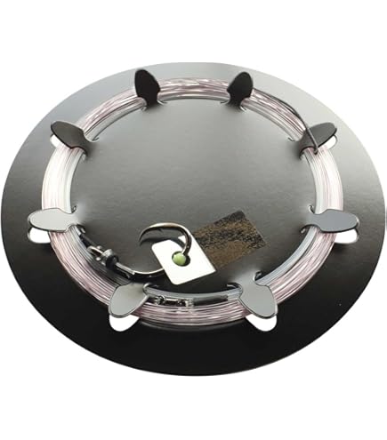 Amazon | Amizesu 仕掛け フカセ黒鮪EZ アミゼスLP30号 ハリス80号 15m