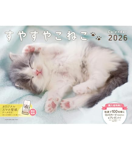 Amazon | トライエックス 子猫のマンチカン 2026年カレンダー 51×36cm