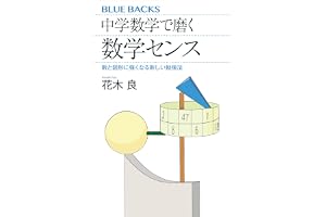 中学数学で磨く数学センス　数と図形に強くなる新しい勉強法 (ブルーバックス)